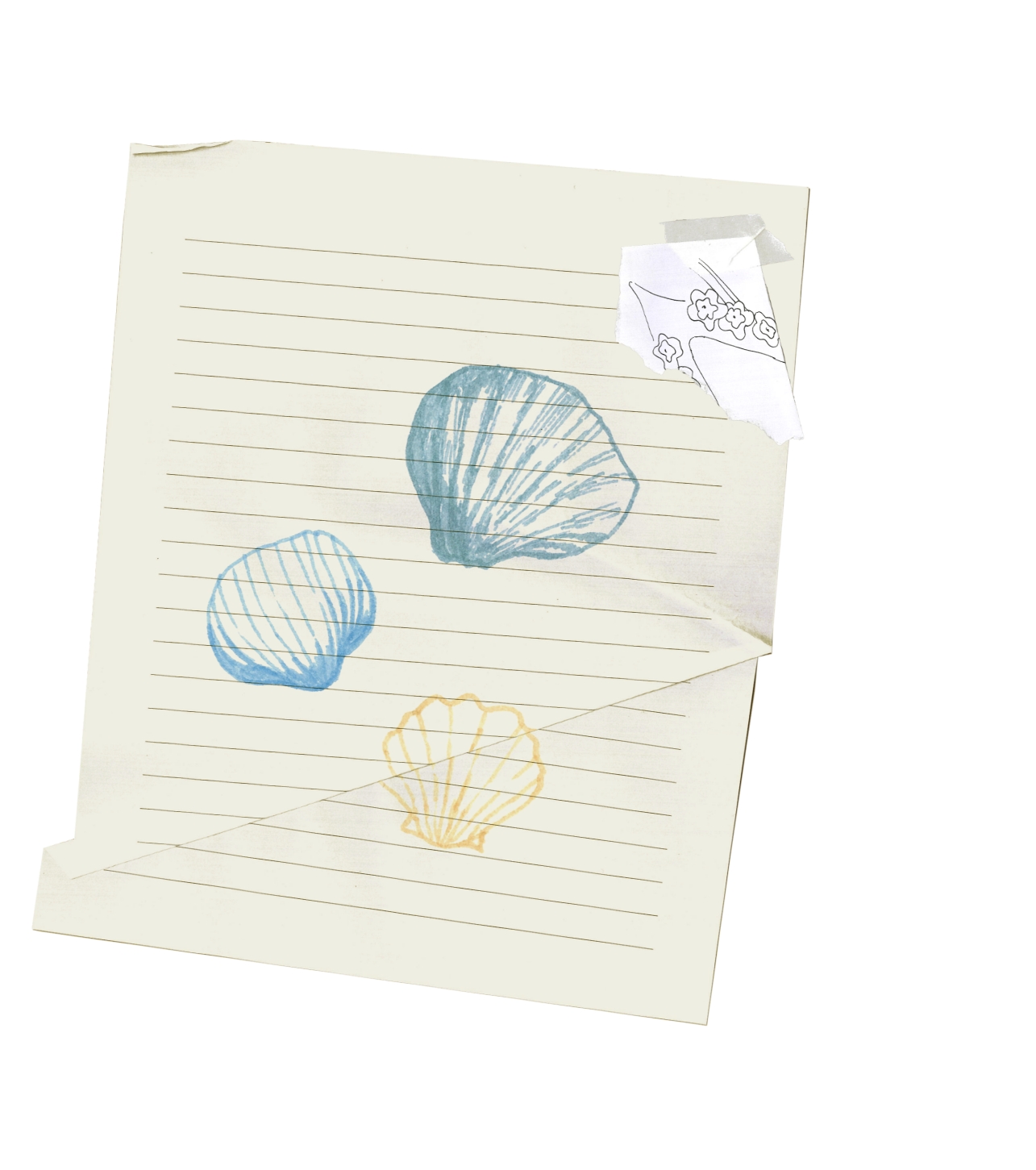 A Seashell Held in My Palmのコンセプトイメージ