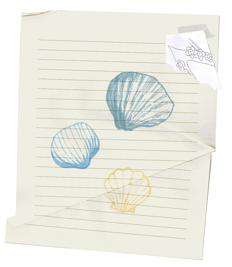2026 SUMMER COLLECTION piece画像02