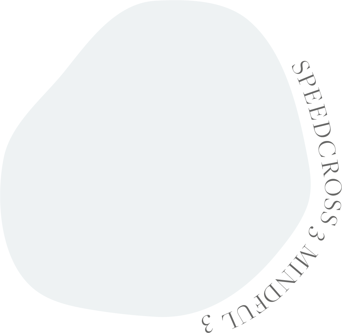 Salomon (emmi限定) SPEEDCROSS 3 MINDFUL 3