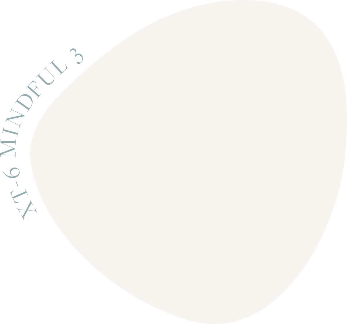 Salomon (emmi限定) XT-6 MINDFUL 3