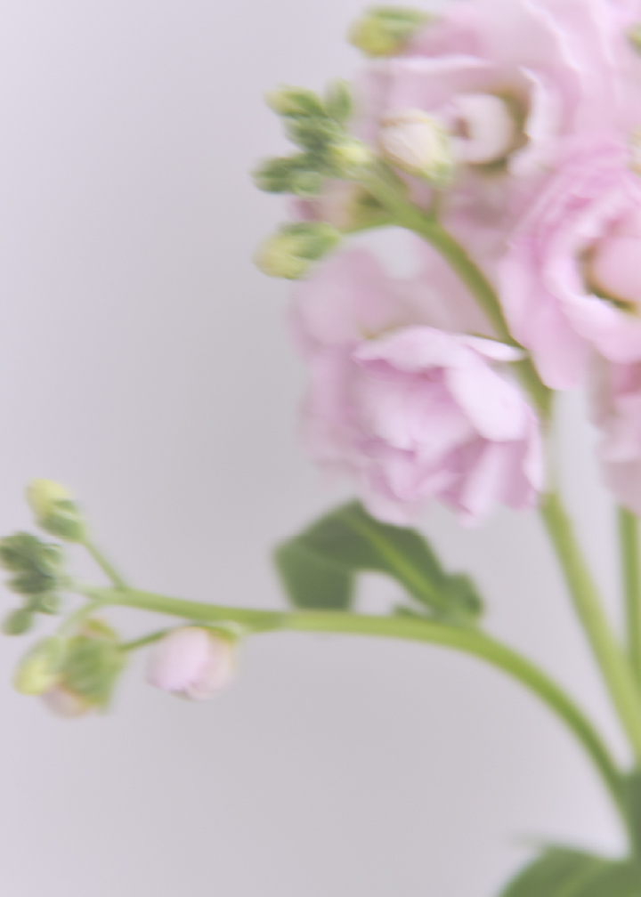 背景画像
