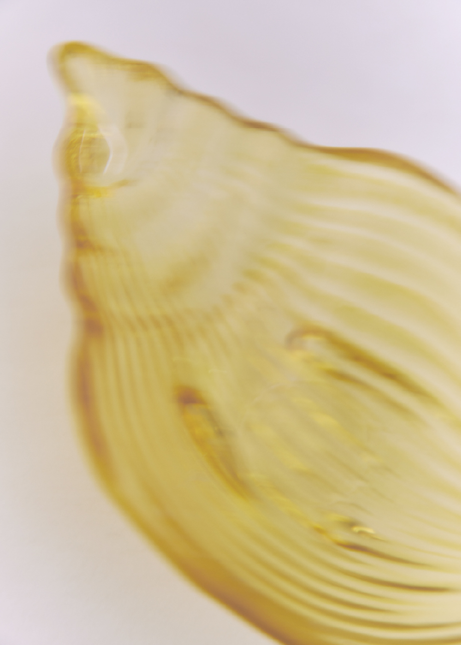 背景画像