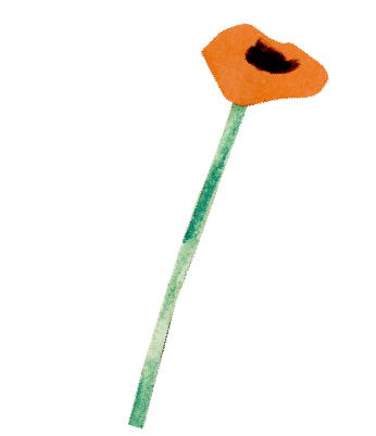 decoration