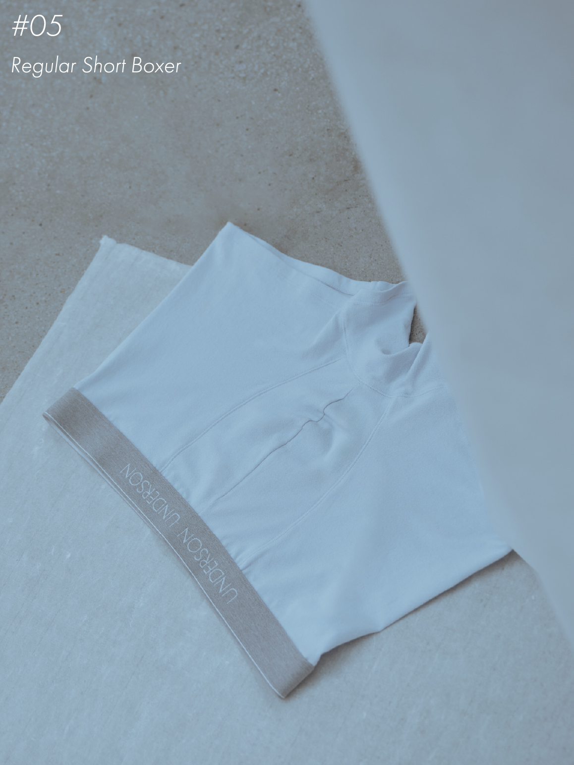 Regular Short Boxer の商品カット