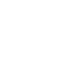 POINT 01