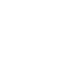 POINT 04