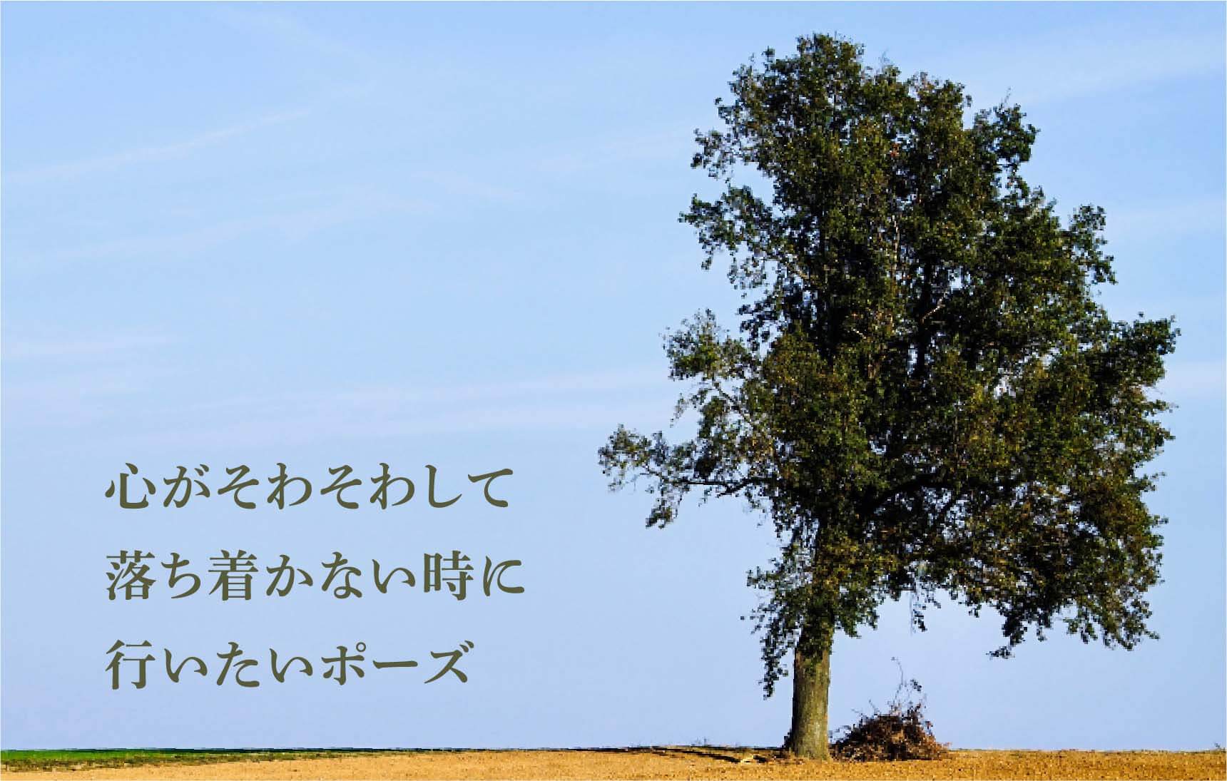 究極の回復法。シャヴァーサナについてもっと知りたい！