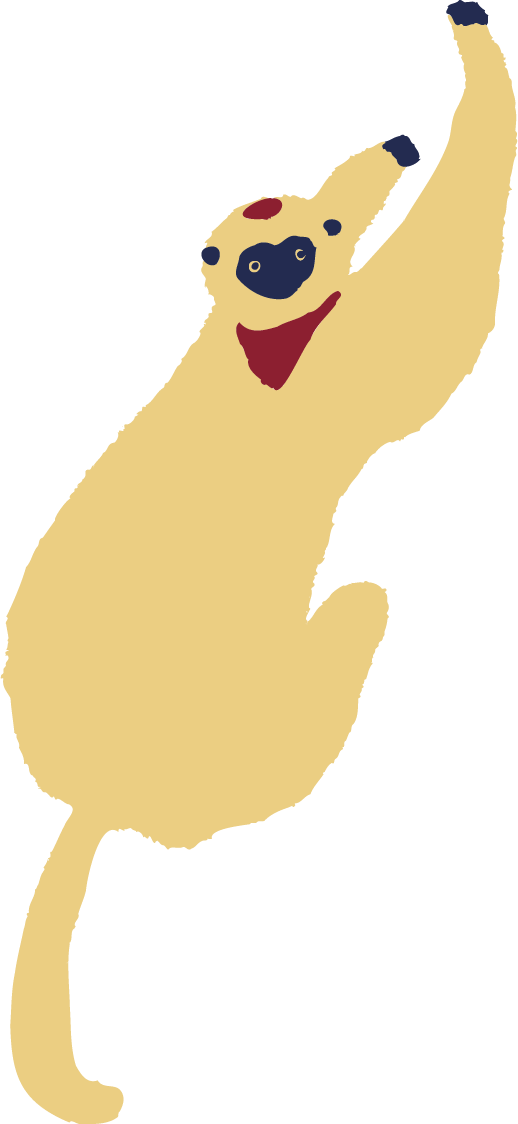 動物のイラスト