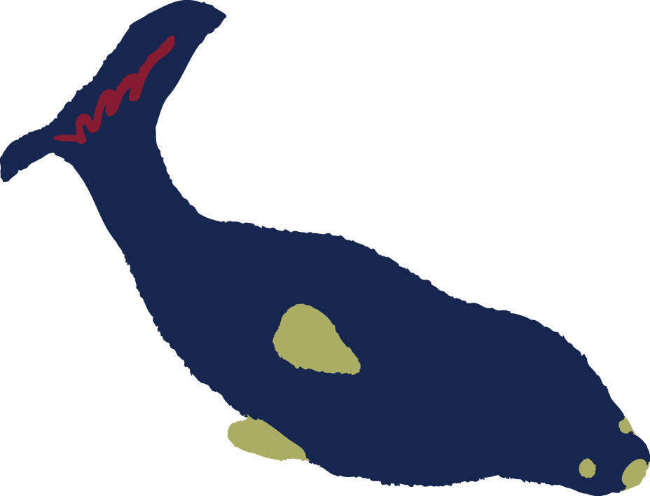 動物のイラスト