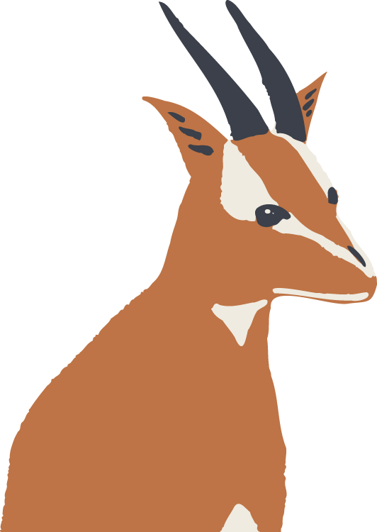 動物のイラスト