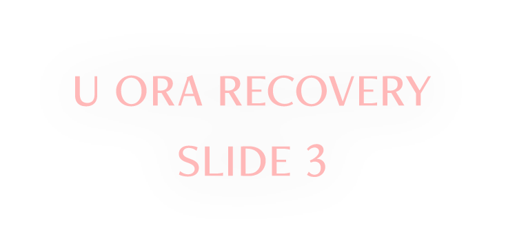 U ORA RECOVERY SLIDE 3